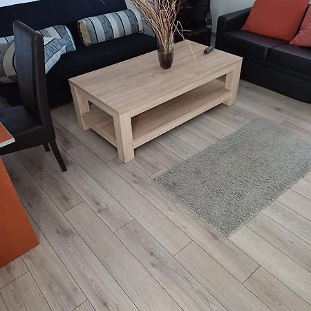 Apartament Cu Terasa La Casa Tina Timisoara Esterno foto