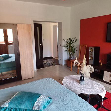 Apartament Cu Terasa La Casa Tina Timisoara Esterno foto