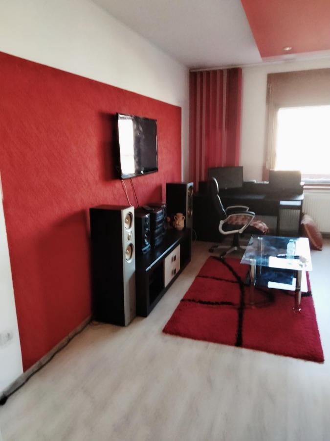 Apartament Cu Terasa La Casa Tina Timisoara Esterno foto