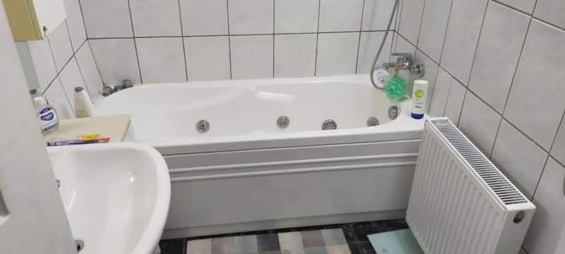 Apartament Cu Terasa La Casa Tina Timisoara Esterno foto