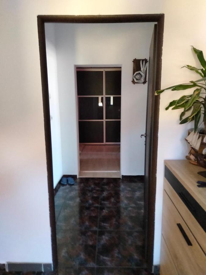 Apartament Cu Terasa La Casa Tina Timisoara Esterno foto