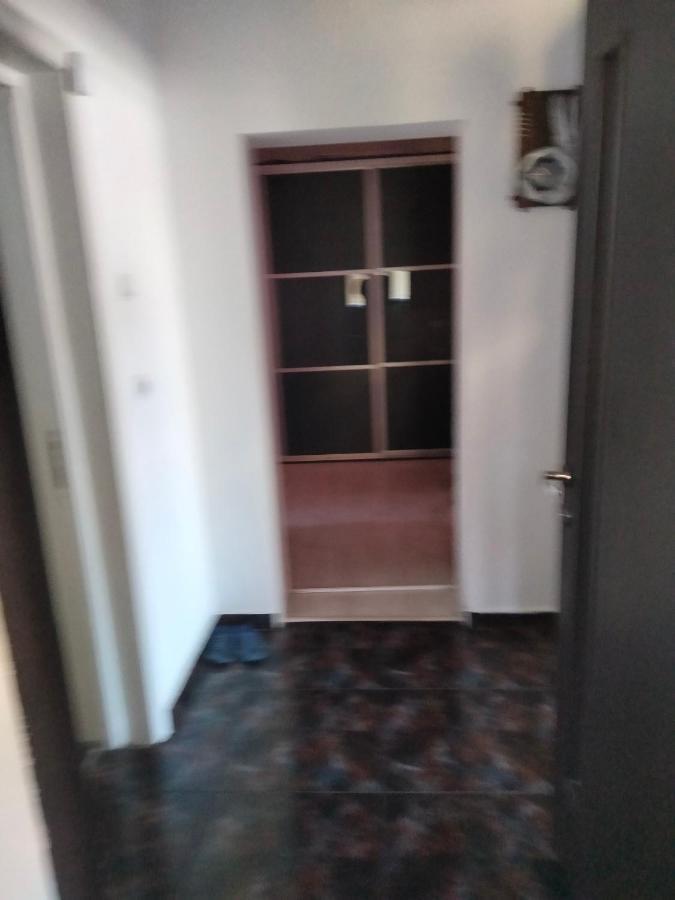 Apartament Cu Terasa La Casa Tina Timisoara Esterno foto