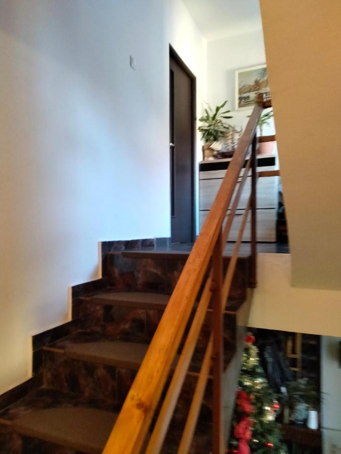 Apartament Cu Terasa La Casa Tina Timisoara Esterno foto