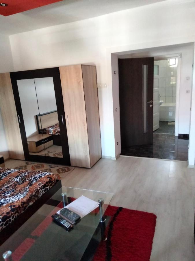 Apartament Cu Terasa La Casa Tina Timisoara Esterno foto