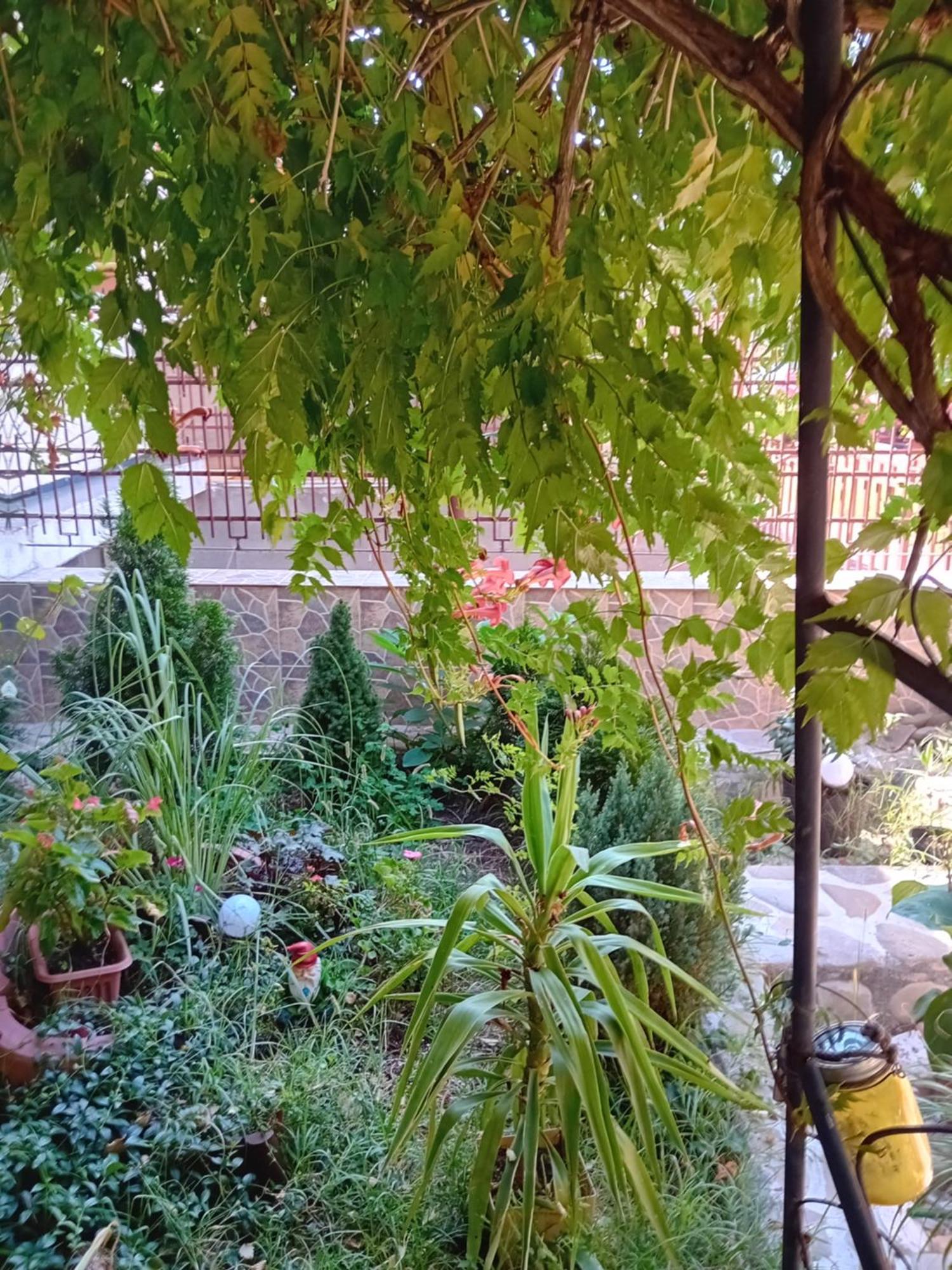 Apartament Cu Terasa La Casa Tina Timisoara Esterno foto