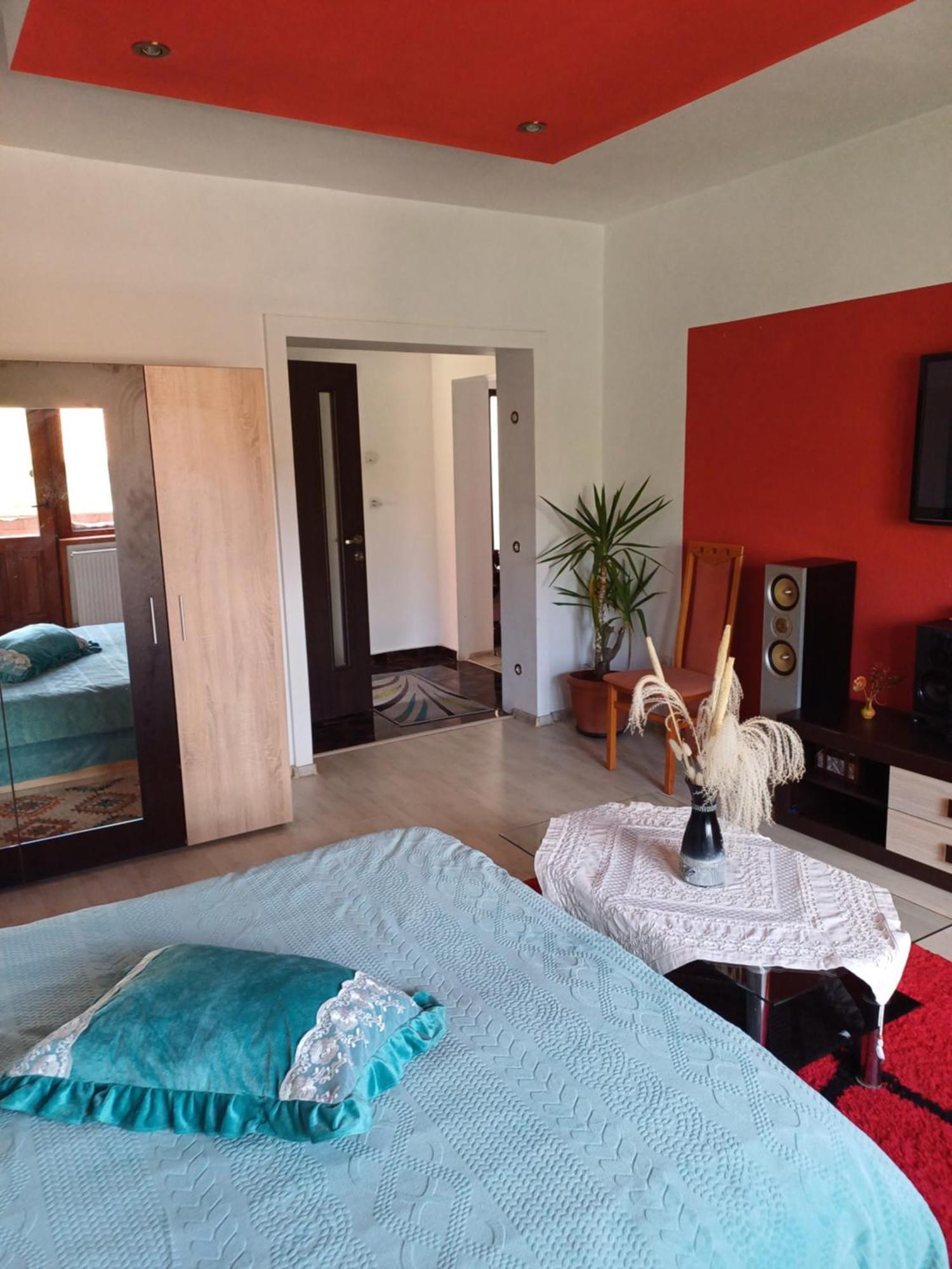 Apartament Cu Terasa La Casa Tina Timisoara Esterno foto